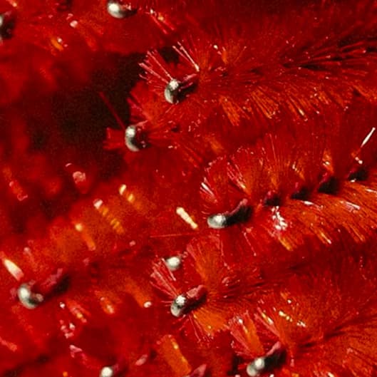 Lash Maintenance Membership